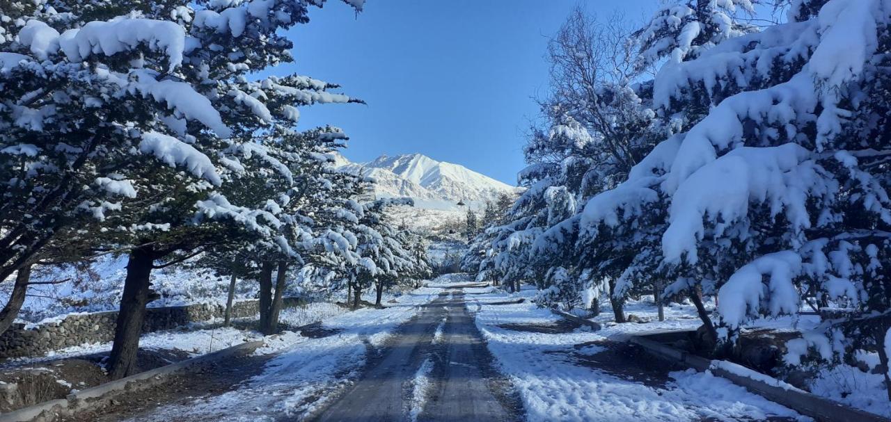 El Fogon * Potrerillos